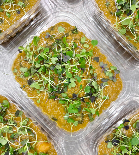 red lentil coconut curry stew with butternut squash + spinach