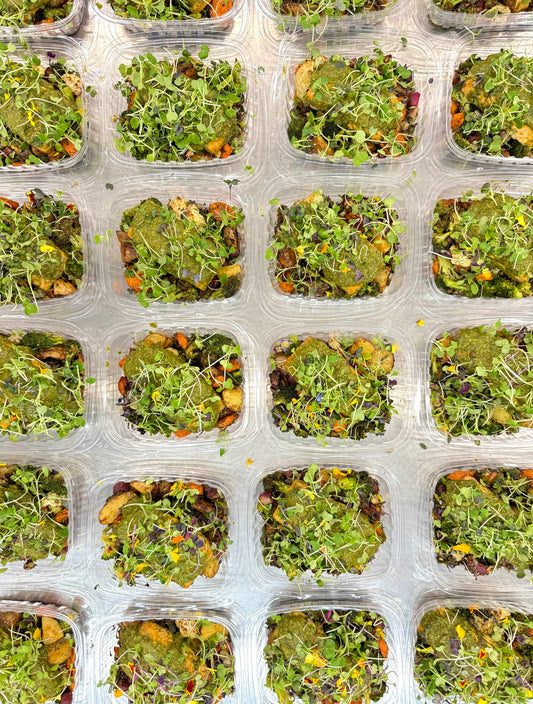 pesto salmon with orange roasted vegetables