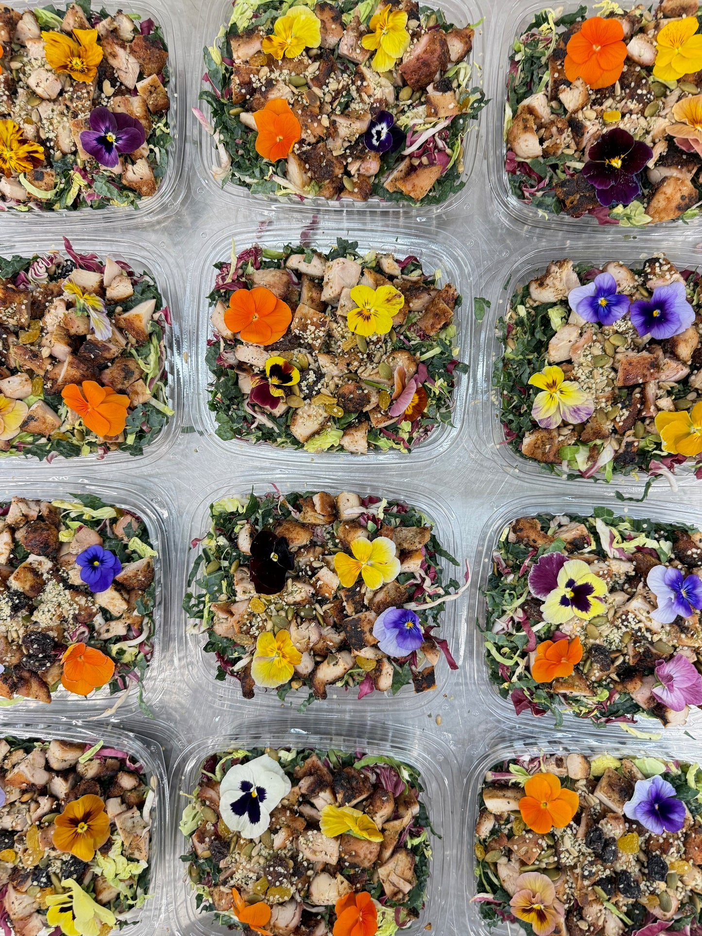 shredded caesar with charred chicken