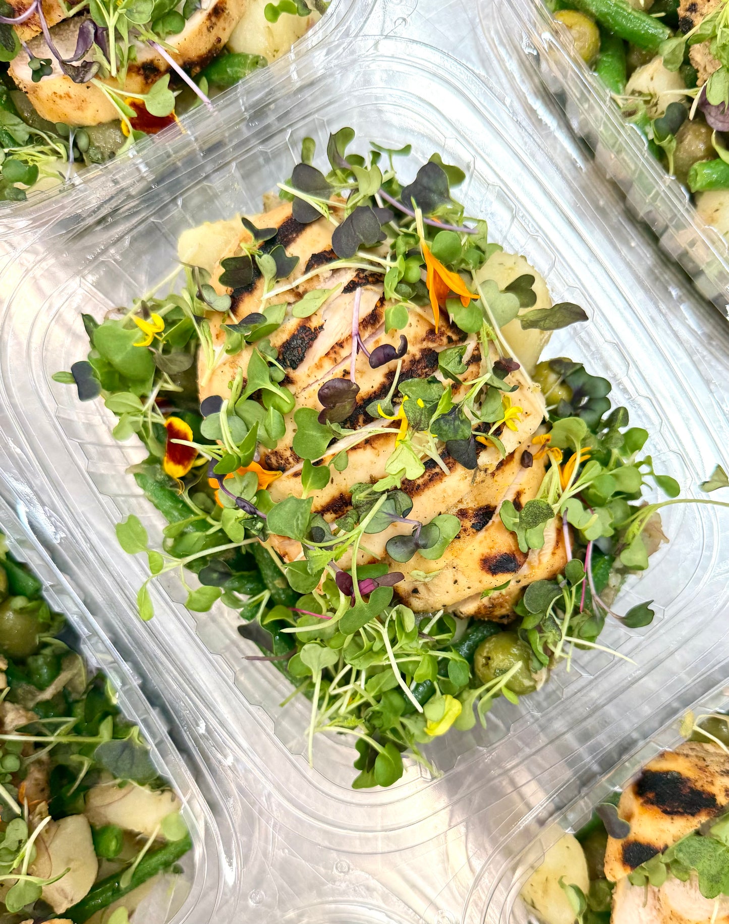 lemony grilled chicken with greek salad + tzatziki
