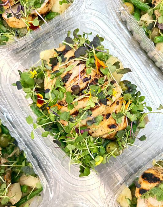 lemony grilled chicken with greek salad + tzatziki