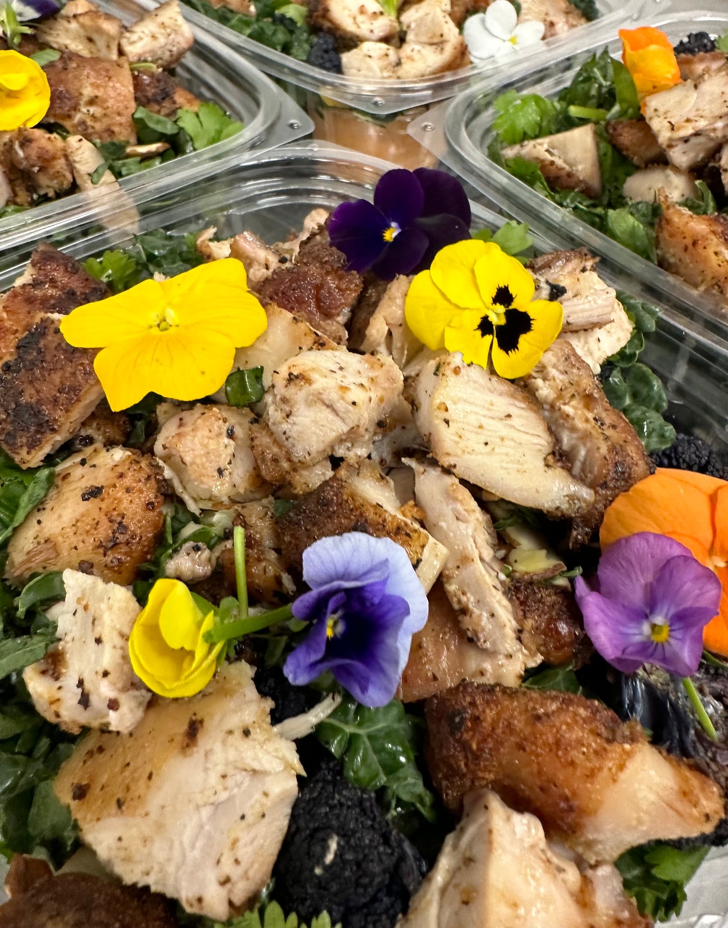 moroccan kale salad with grilled chicken and creamy harissa dressing