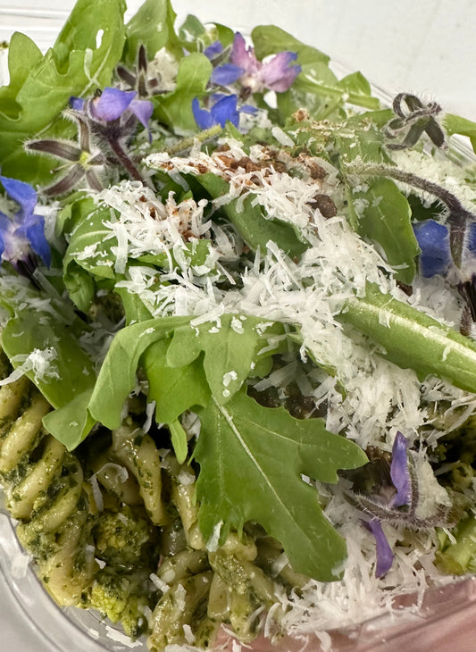 arugula walnut pesto pasta with creamy white beans and parmesan (CONTAINS GLUTEN)